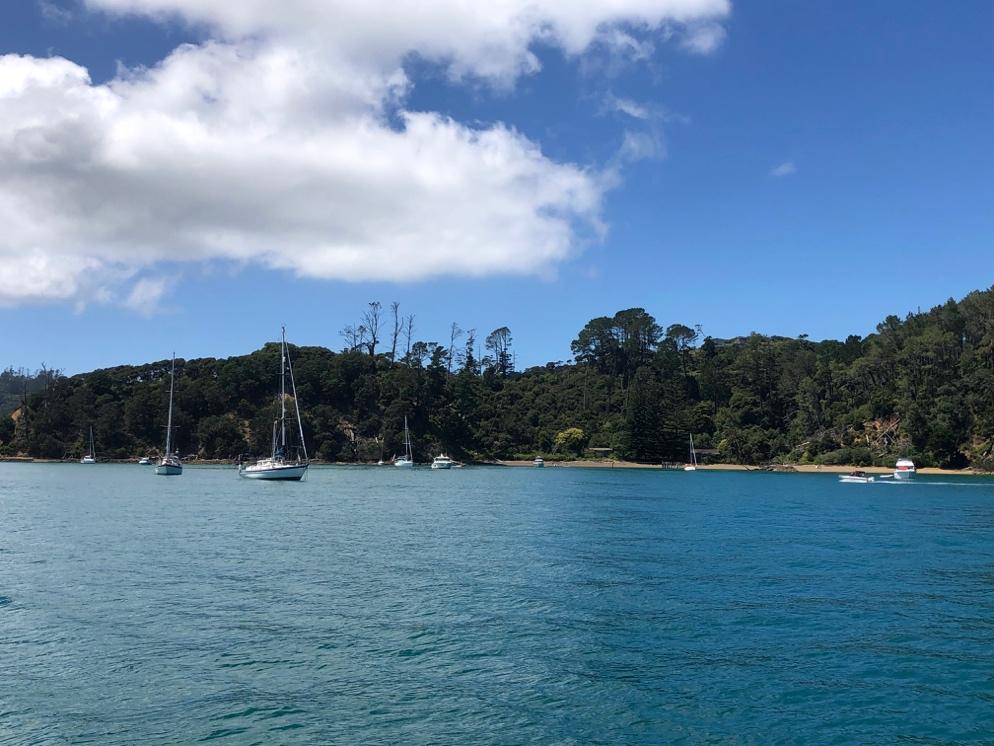 Photo. Mansion Bay, Kawau Island.